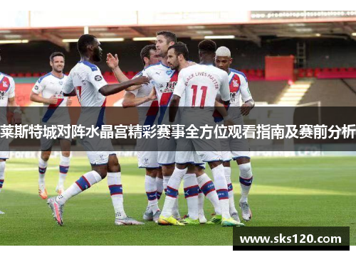 莱斯特城对阵水晶宫精彩赛事全方位观看指南及赛前分析