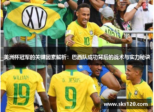 美洲杯冠军的关键因素解析：巴西队成功背后的战术与实力秘诀