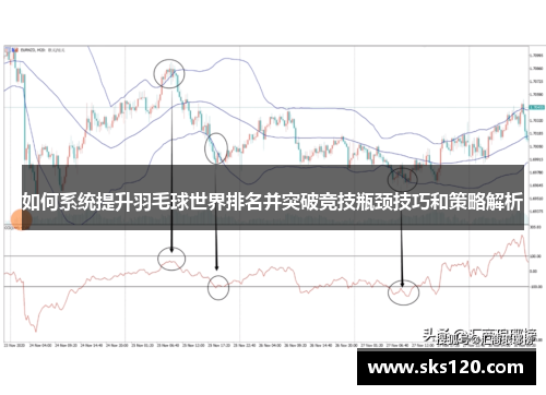 如何系统提升羽毛球世界排名并突破竞技瓶颈技巧和策略解析