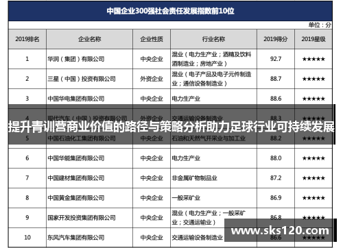 提升青训营商业价值的路径与策略分析助力足球行业可持续发展