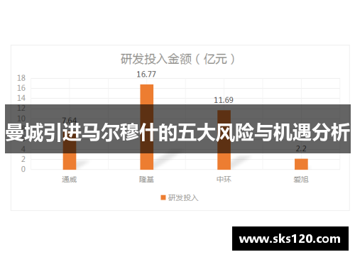 曼城引进马尔穆什的五大风险与机遇分析